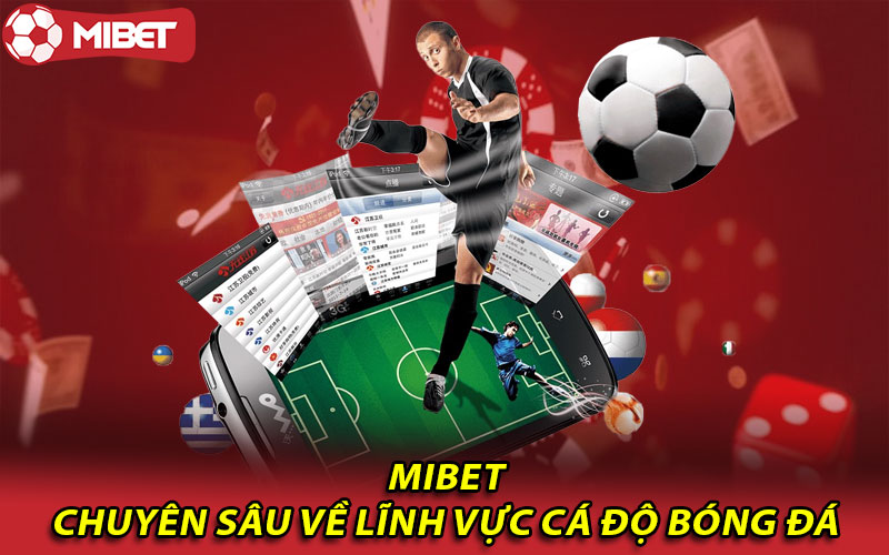 Mibet chuyên sâu về lĩnh vực cá độ bóng đá online  