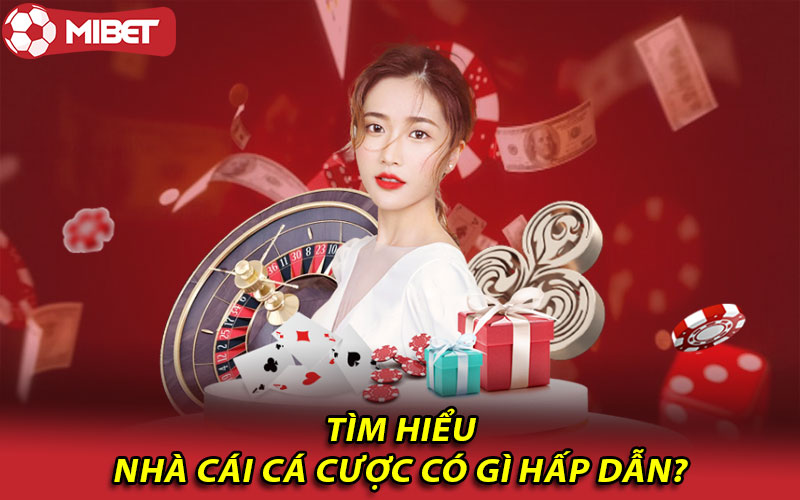 Tìm hiểu nhà cái cá cược có gì hấp dẫn?