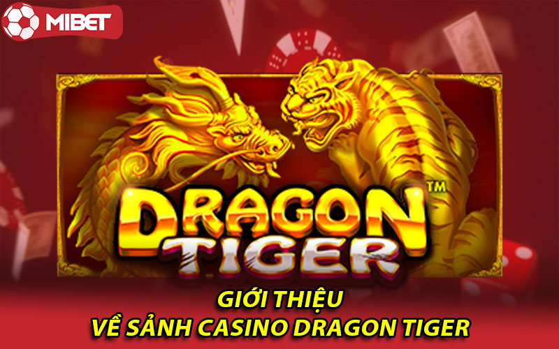 Khám phá tất tần tật về sảnh Casino Dragon Tiger Mibet